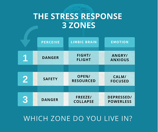 FB-post-THE STRESS RESPONSE 3 ZONES